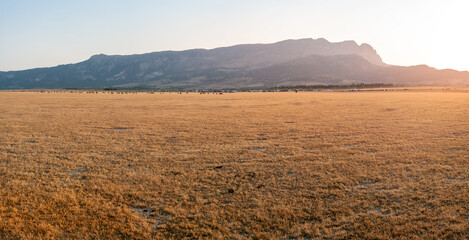 Grasslands of Dasht Arjan. wide panorama with autumn grass field and mountains in background at...