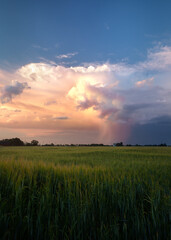 Beautiful summer morning with thunderstorm