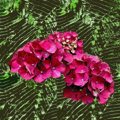 Abstract red flower closeup green background art 