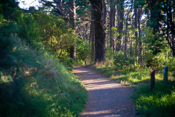 ニュージーランドのウェリントンの観光名所を観光している風景 Wellington, New Zealand Scenes of sightseeing in