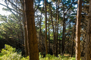 ニュージーランドのウェリントンの観光名所を観光している風景 Wellington, New Zealand Scenes of sightseeing in