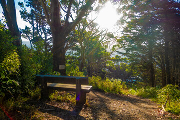 Naklejka premium ニュージーランドのウェリントンの観光名所を観光している風景 Wellington, New Zealand Scenes of sightseeing in