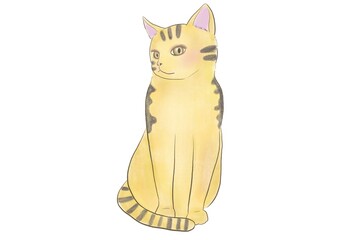 ガーリーなかわいい虎のような雌猫