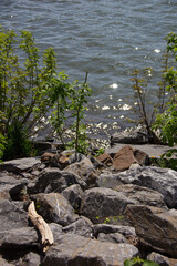 rocks and water