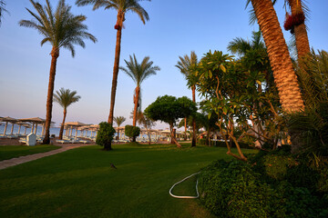 Beach resort with palm trees. Typical beach resort in Egypt. Beach resort on the Sinai Peninsula.