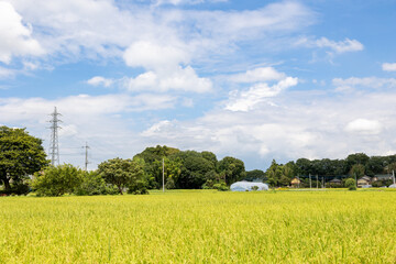 日本の夏の青空と田舎の景色