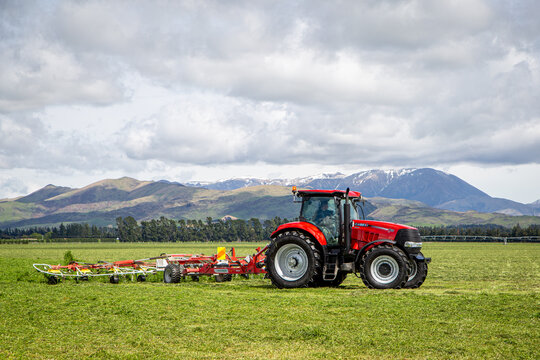 Sheffield, Canterbury, New Zealand, October 25 2019: A contractor rakes silage ready to be baled on a large farm in the Canterbury foothills