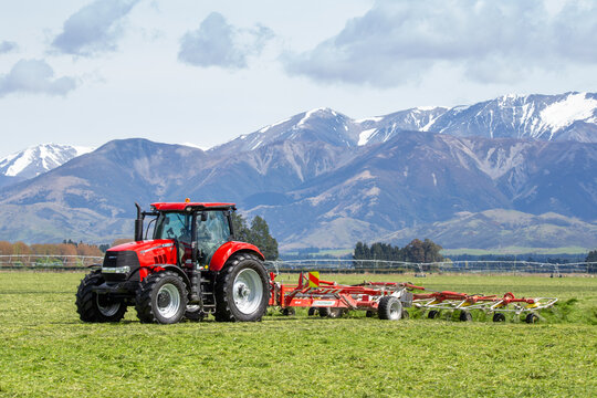 Sheffield, Canterbury, New Zealand, October 25 2019: A contractor rakes silage ready to be baled on a large farm in the Canterbury foothills