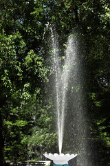 Beautiful view of fountain in park on sunny day