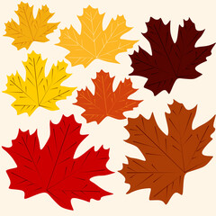 Set of colorful maple leaves. Fall foliage.