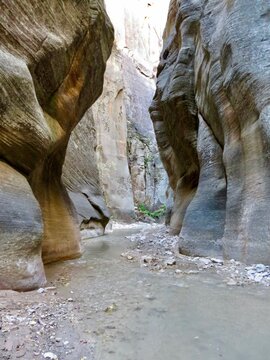 The Narrows Zion National Park