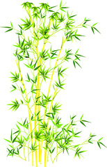 simple vector bamboo tree and leaves. Flat line design. Set of elegant floral elements for graphic and web design. Decorative vintage line elements collection. Vector illustration