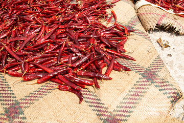 A traditional way of drying out Red chili peppers in the sun naturally, laying flat, and spreads...