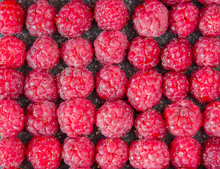 Fresh raspberries, shot large, on a dark background. Red berries are natural vitamins in summer and autumn. Sweet raspberry, ingredient for jam. A natural, light snack.