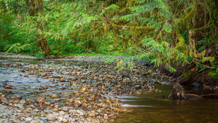 Majestic waterfall in Vancouver, Canada. View with mountain background.