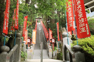 寺社仏閣の階段