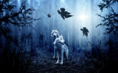 the wolves at night