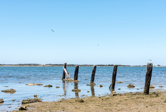 Wooden posts leading into the Murray River - South Australia