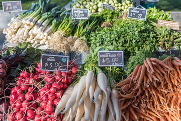Radishes, leeks, carrots and coriander for sale at a farmer's market