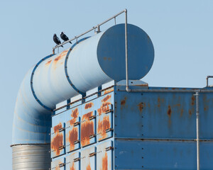 Rusty Blue Metal at a factory, with two Australian Magpies perched on top