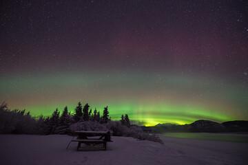 Fototapeta na wymiar The Northern Lights (Aurora Borealis) in northern Canada