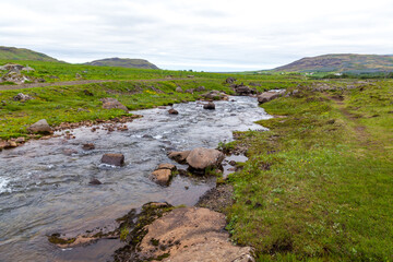 Summer Iceland panorama on river shore among green grassland and lupins.