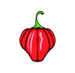 A habanero pepper design illustration vector eps format , suitable for your design needs, logo, illustration, animation, etc.