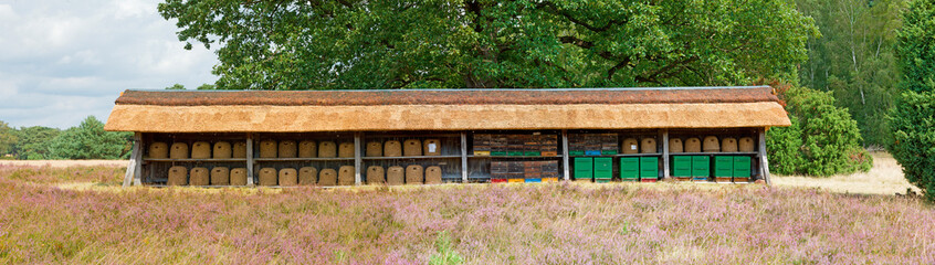 Bienenhaus in der Lüneburger Heide, Niedersachsen, Deutschland, Europa