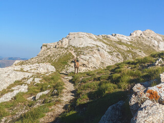 Portrait of wild chamois on Monte Bicco in the national park of Monti Sibillini, Marche, Italy