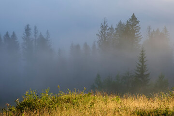 Misty landscape. Morning fog sunrise high in the Carpathian mountains in Ukraine.