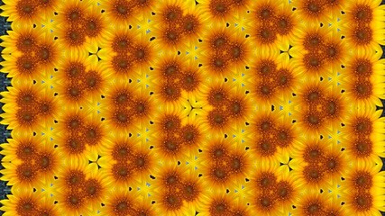 Kaleidoscope Sunflower Pattern for Background | Floral Wallpaper or Cover Template