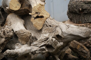 Large pieces of dried wood for making objects