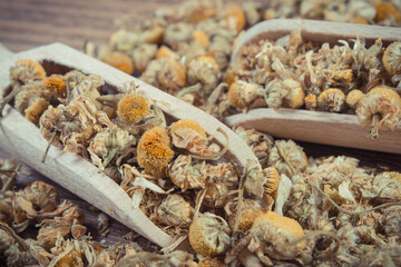 Chamomile as herb using in alternative medicine. Source vitamins and minerals