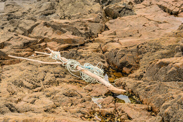 Rope wrapped around tree branch laying on rocky beach.
