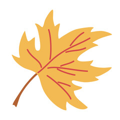 Yellow Maple leaf. Colorful autumn leaf. For the design of greeting cards, holiday banners, and posters. Vector illustration isolated on white background.