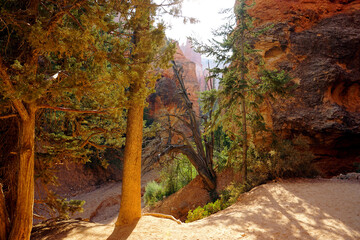 Bryce Canyon - Inside