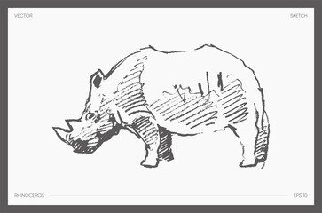 Detail drawn vector of rhinoceros realistic a sketch