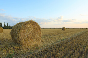 Beautiful view of agricultural field with hay bales