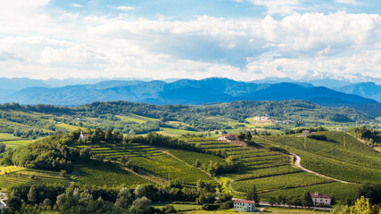 The beautiful vineyard of Collio, Friuli Venezia-Giulia, Italy