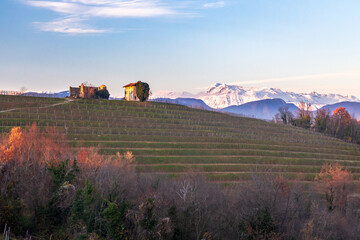 Fototapeta na wymiar Winter sunset in the vineyards of Collio Friulano