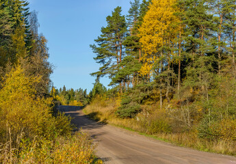 A sunny morning in Karelia.