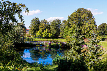 Obraz premium lake in the park