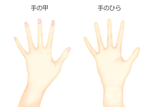 0 Best 手の甲 Images Stock Photos Vectors Adobe Stock