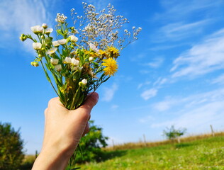 Bukiet polnych kwiatów w dłoni