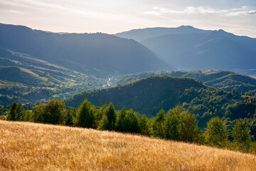 autumnal landscape of carpathian countryside. early autumn season in mountains. trees on the grassy hills rolling in to the distant valley. beautiful scenery on a warm sunny evening with clouds