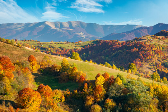 autumnal countryside of carpathian mountains. beautiful landscape in evening light. trees in colorful foliage and fields on rolling hills. ridge in the distance beneath a clouds on the sky
