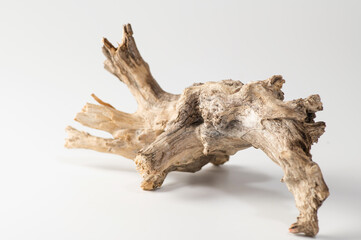 decorative driftwood, dry branch on a white background