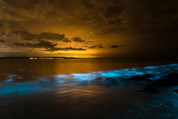 Fototapeta na wymiar Bioluminescence at night, Jervis Bay, Australia