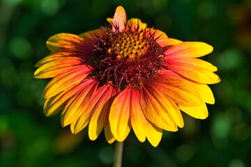 Natur Outdoor sunny day no people