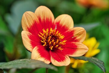 Natur Outdoor sunny day no people